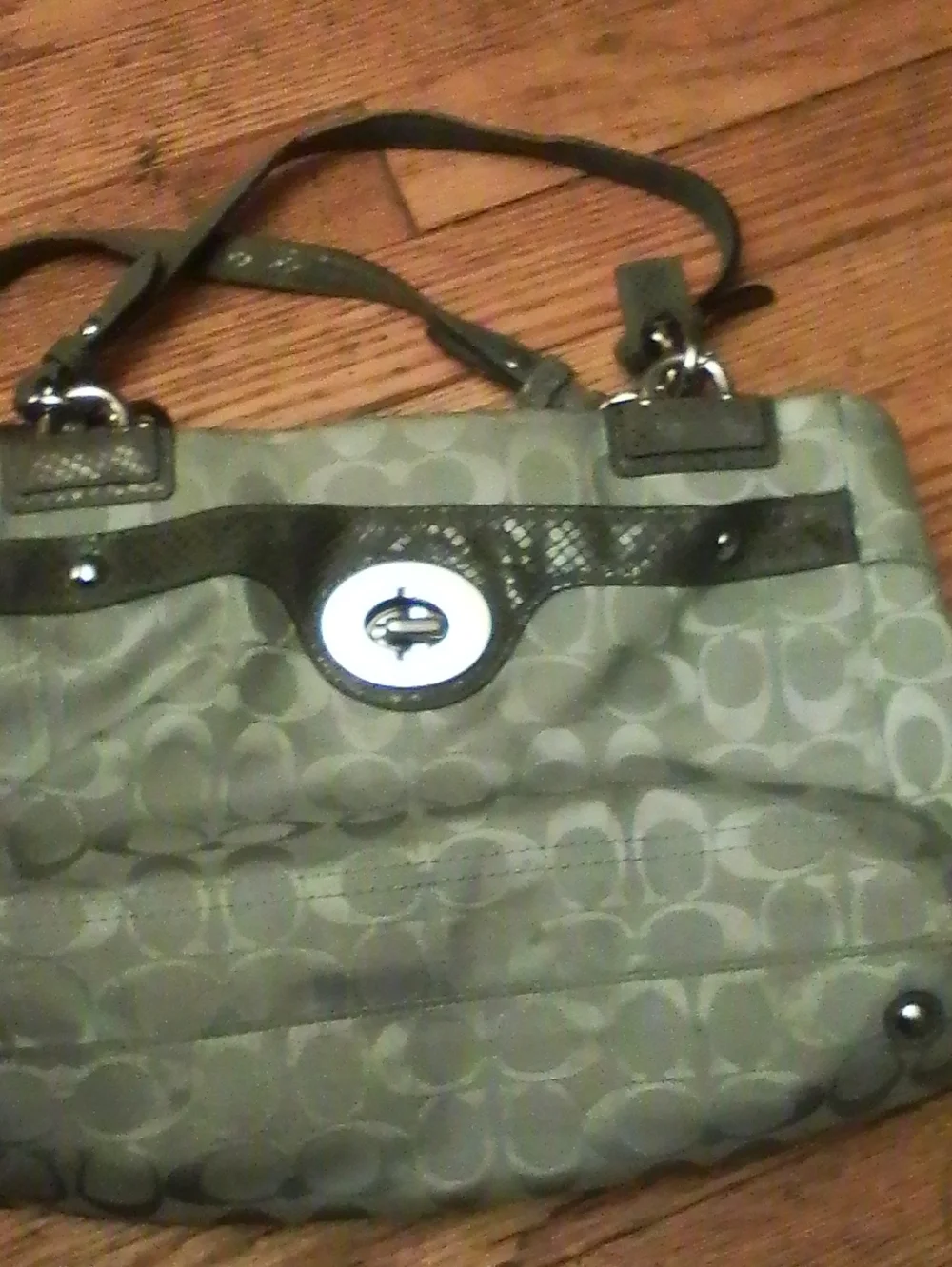 Coach Signature Penelope Bag In Silver